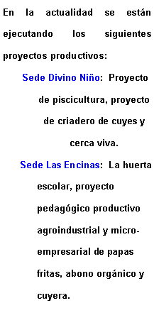 Cuadro de texto: En la actualidad se estn ejecutando los siguientes proyectos productivos:Sede Divino Nio:  Proyecto de piscicultura, proyecto de criadero de cuyes y cerca viva.Sede Las Encinas:  La huerta escolar, proyecto pedaggico productivo agroindustrial y micro-empresarial de papas fritas, abono orgnico y cuyera.